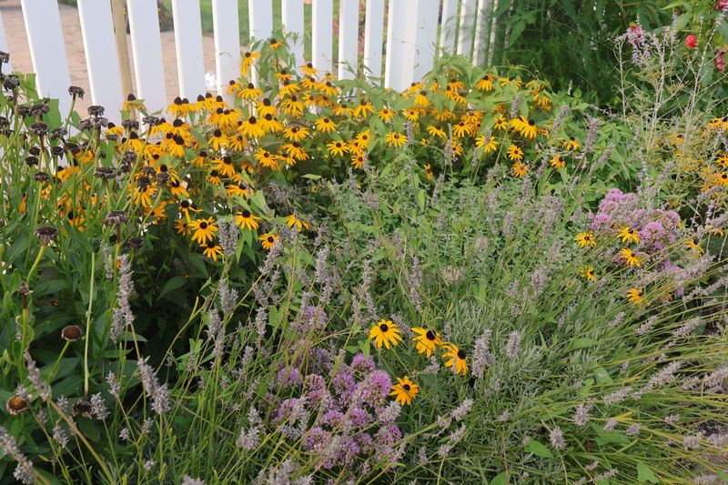 Choosing Drought Tolerant Plants Reduces Overall Demand