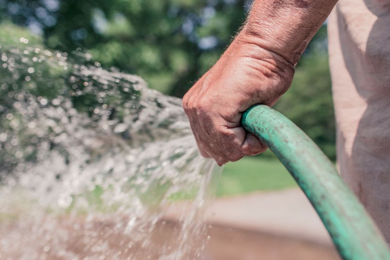 Choosing Water And Timing For Effective Flushing Choosing Water And Timing For Effective Flushing