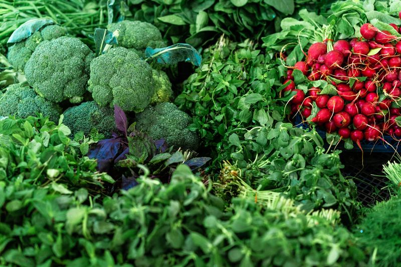 Choosing Which Crops To Plant Next