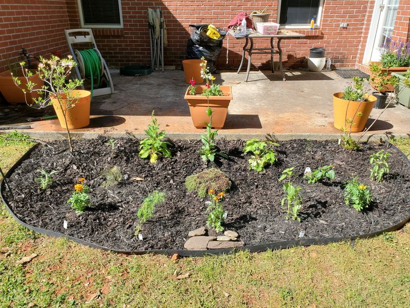 Clay Garden Beds Are Especially Vulnerable Clay Garden Beds Are Especially Vulnerable