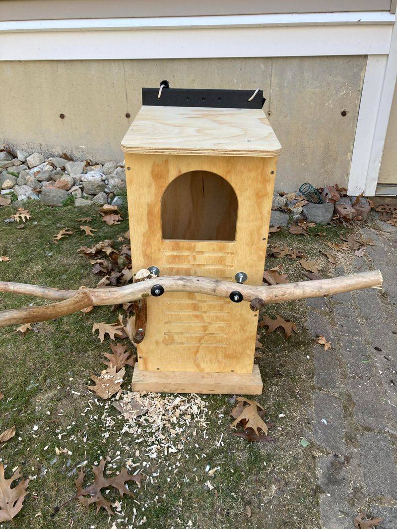 Clean Boxes Before Each Nesting Season Clean Boxes Before Each Nesting Season