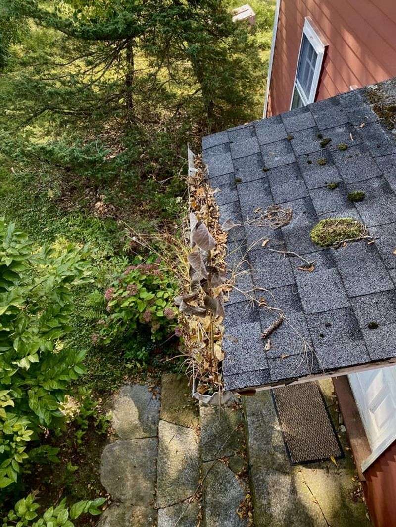Clean Gutters Before Debris Traps Moisture Clean Gutters Before Debris Traps Moisture
