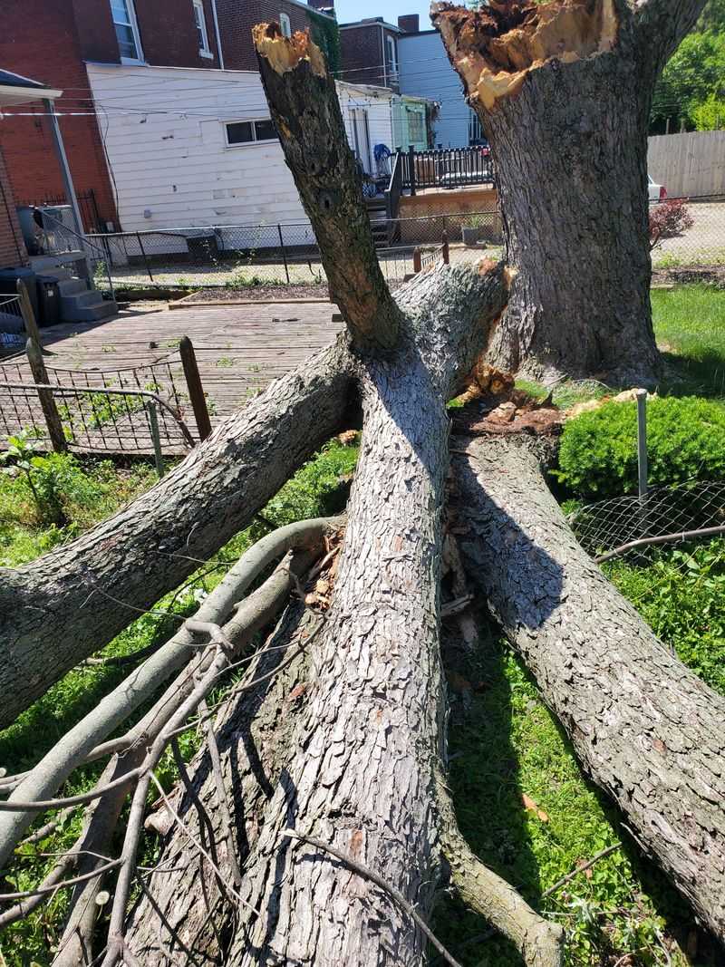 Cleanup Costs And Property Damage Are Not Always The Same