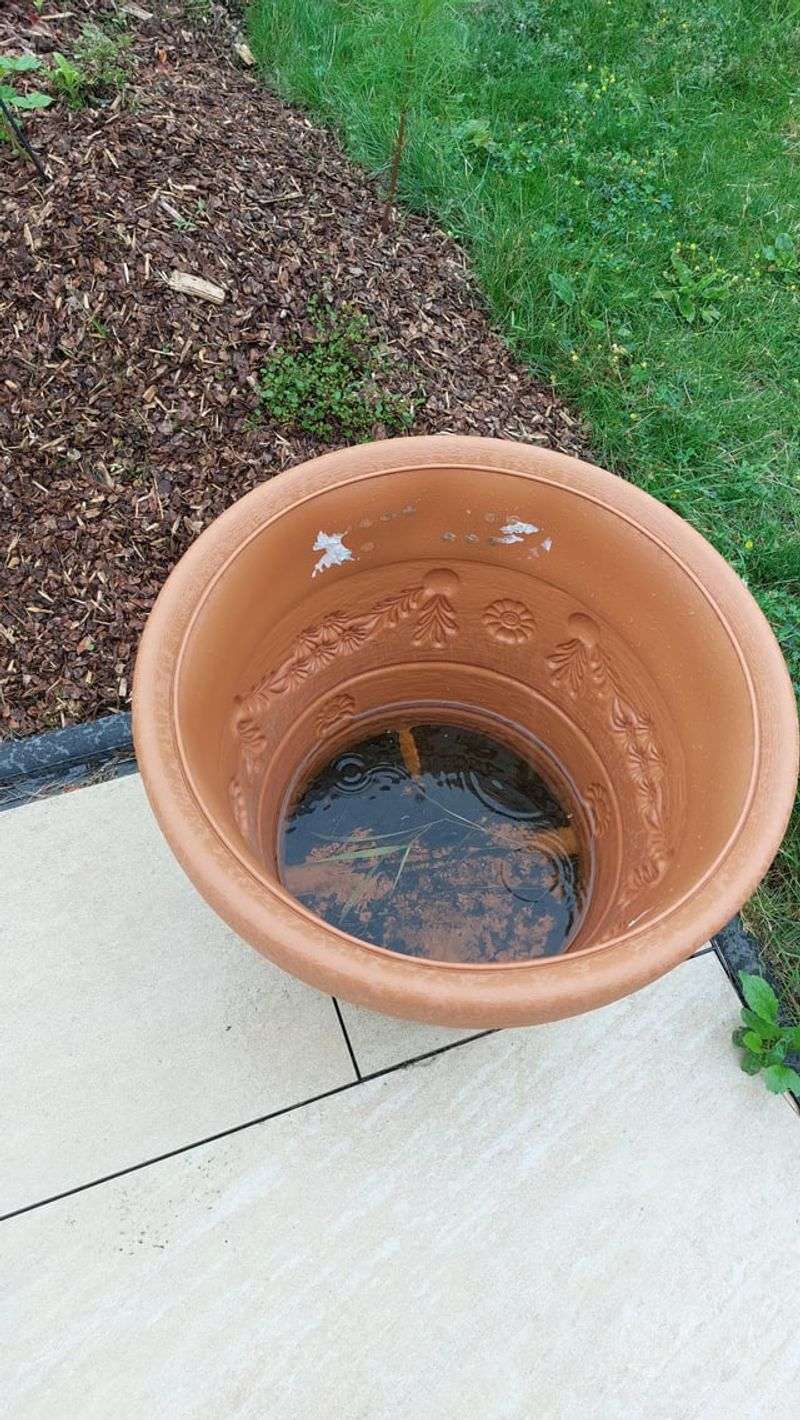 Clear Every Blocked Drainage Hole Clear Every Blocked Drainage Hole