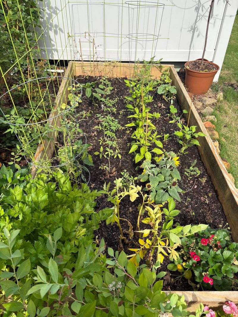 Clear Spent Crops From Fall Beds