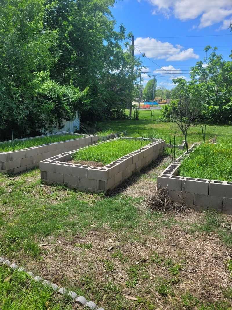 Clear Spring Crops Before Planting