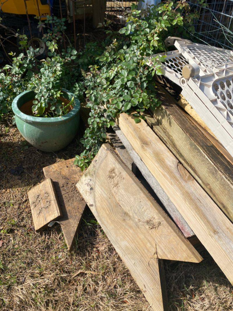 Cluttered Areas Can Provide Convenient Places To Shelter Cluttered Areas Can Provide Convenient Places To Shelter