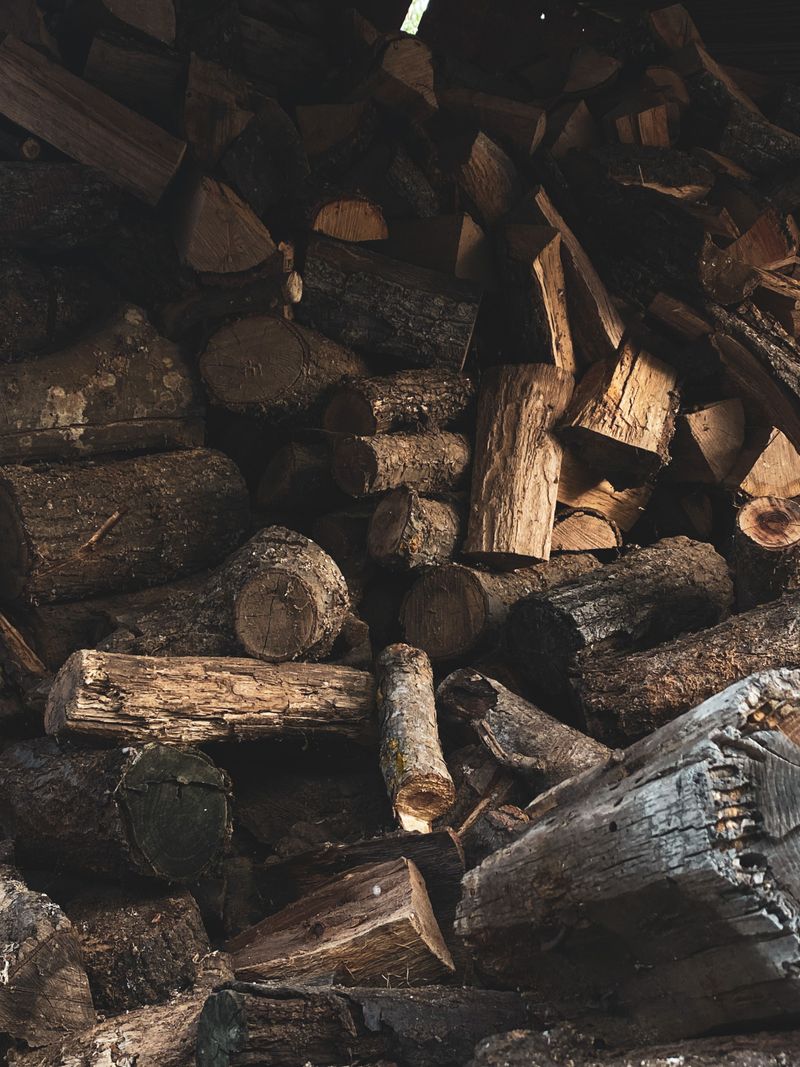 Cluttered Woodpiles Create Hiding Spots Cluttered Woodpiles Create Hiding Spots