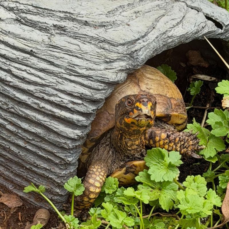 Coexisting With Them Without Disturbing Their Habitat Coexisting With Them Without Disturbing Their Habitat