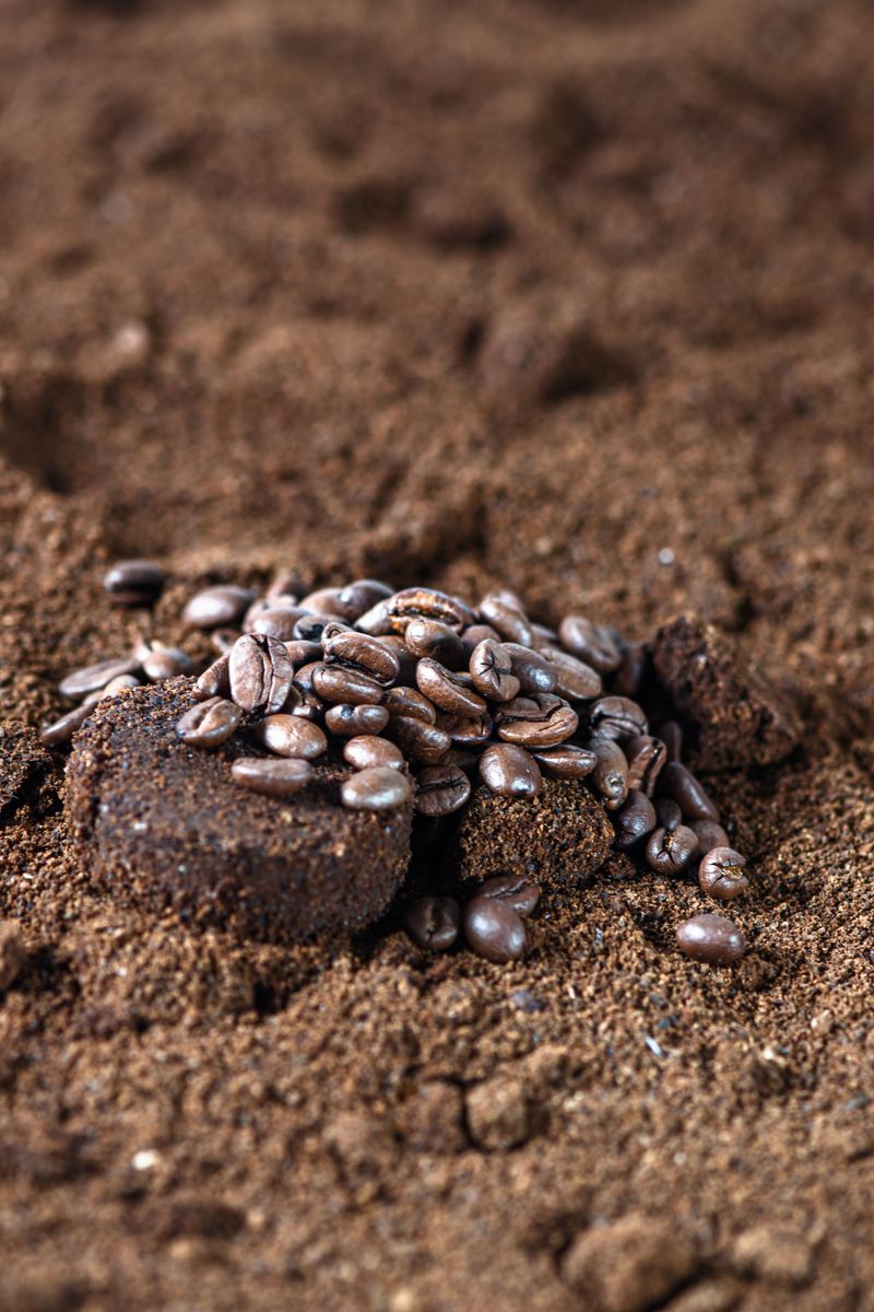 Coffee Grounds Repel Moles Naturally