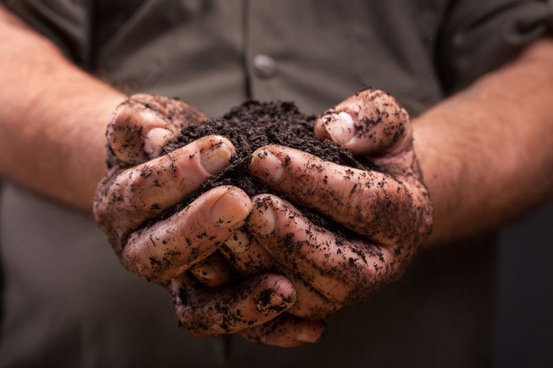 Collect Soil Before Adding Fall Amendments