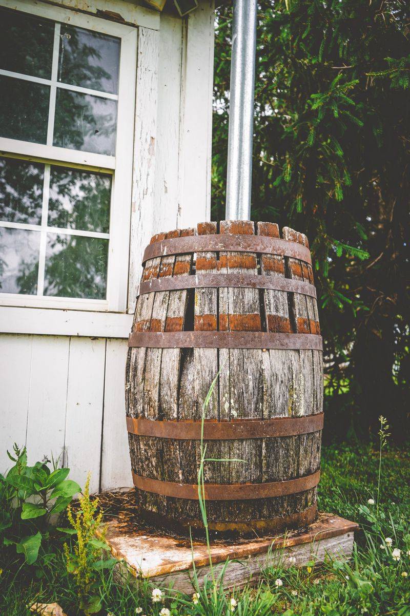 Collecting Rainwater Adds A Free Backup Supply