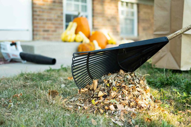Combine Groundcover Control With Yard Cleanup