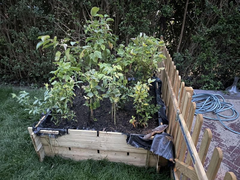 Combine Netting With Other Deterrents