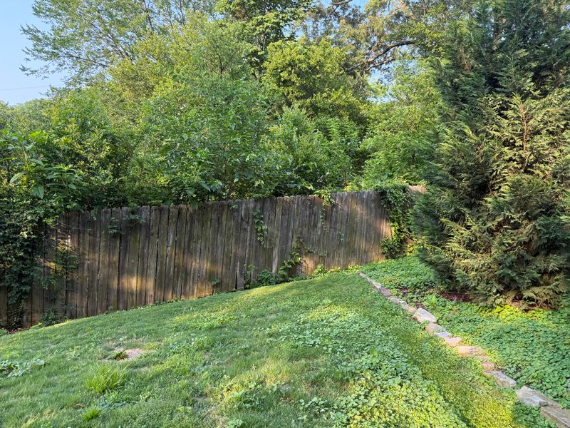 Common Florida Yards Repeat This Habit Without Realizing The Risk Common Florida Yards Repeat This Habit Without Realizing The Risk