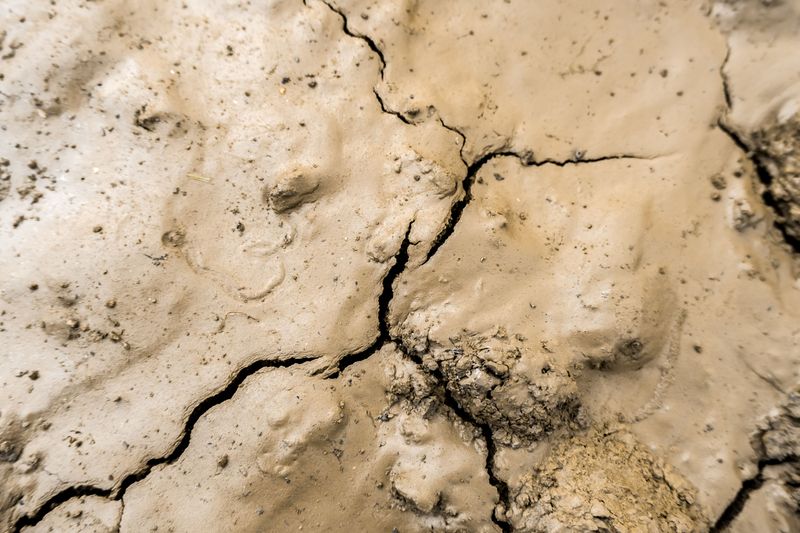 Compacted Soil Struggles To Absorb Water In Future Storms Compacted Soil Struggles To Absorb Water In Future Storms