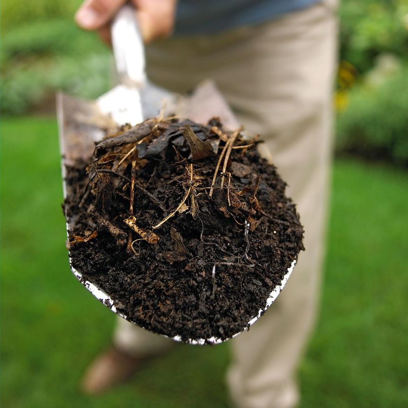 Compost And Organic Matter As A Long-Term Fix