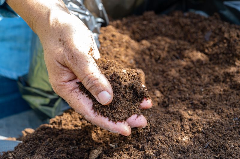 Compost Can Improve Beds Before Planting Begins Compost Can Improve Beds Before Planting Begins