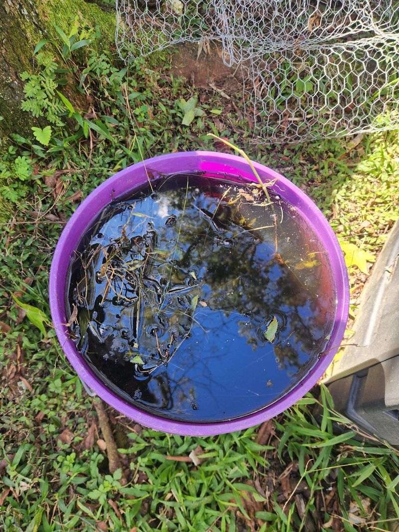 Compost Tea Delivers Nutrients Without Breaking Local Rules Compost Tea Delivers Nutrients Without Breaking Local Rules