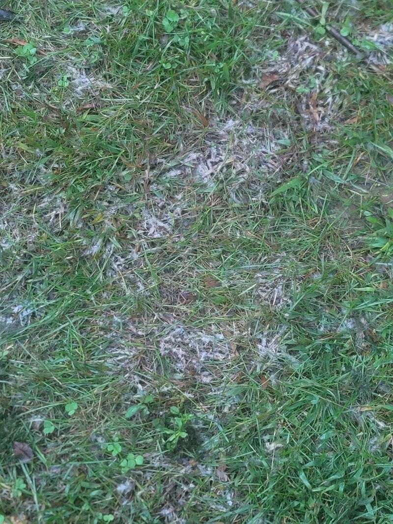 Conditions That Turn A Small Patch Into A Bigger Problem