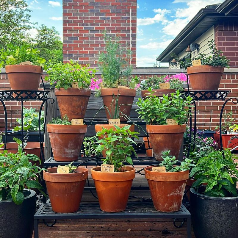 Containers Need Open Drainage Holes