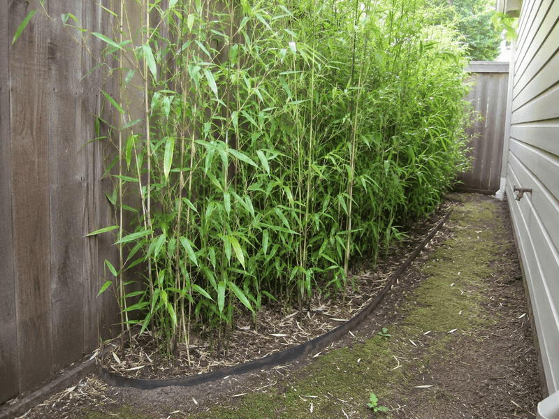 Containment Barriers May Become Mandatory