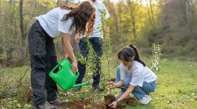 Cooler Fall Weather Can Reduce Heat Stress After Planting