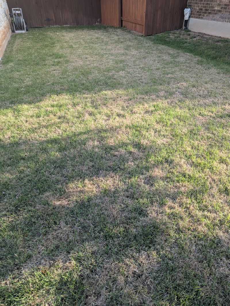Cooler Soil Limits Nutrient Uptake Ability