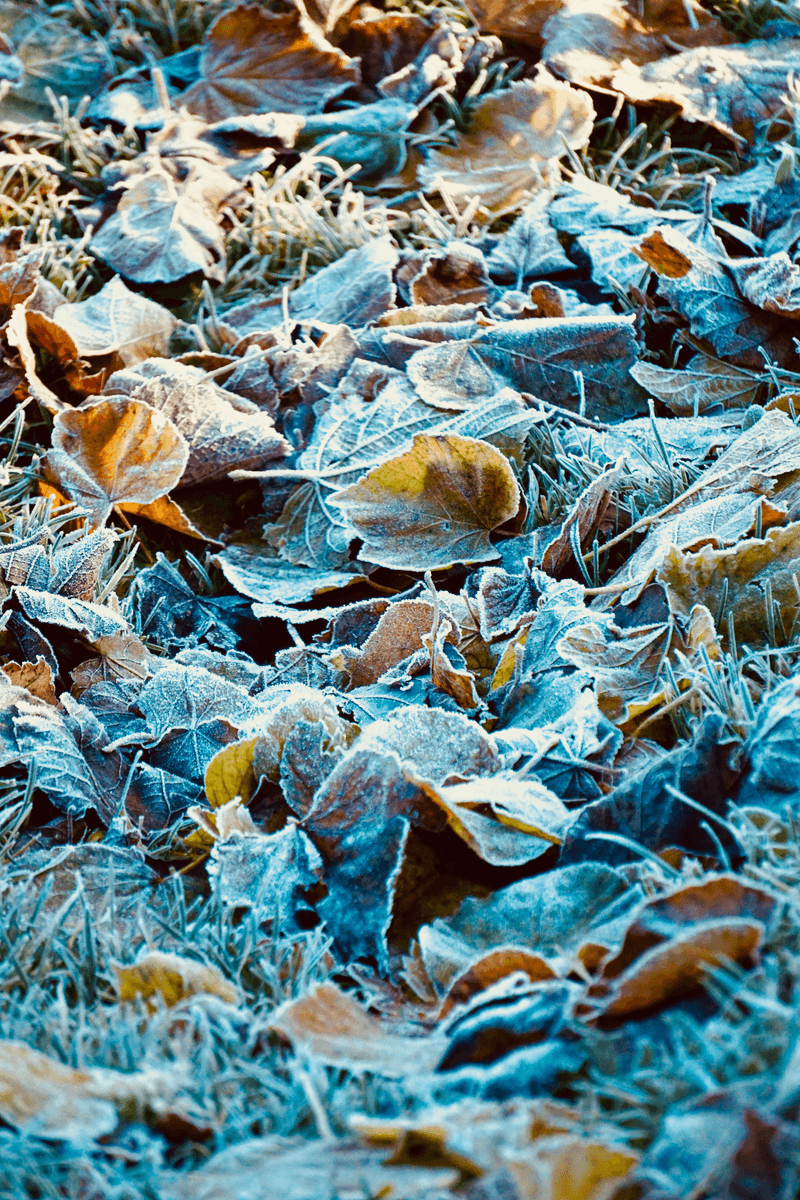 Cooler Temperatures Signal Winter's Approach Cooler Temperatures Signal Winter's Approach