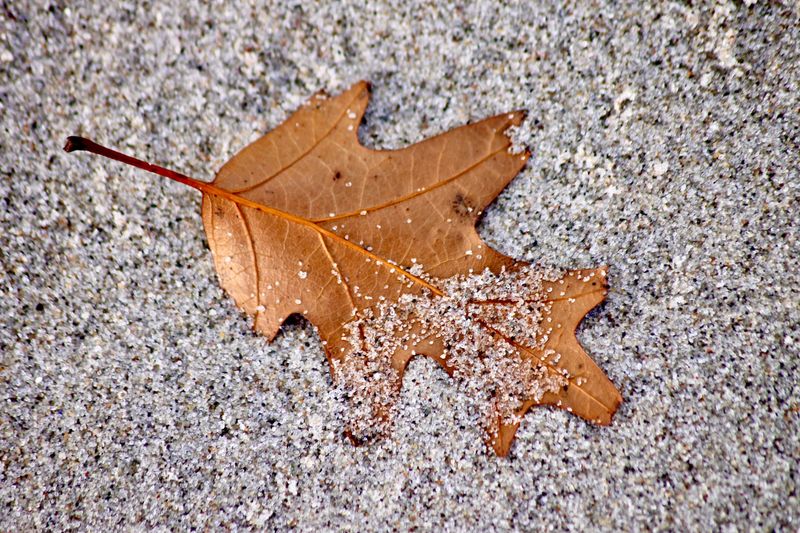 Cooler Temps Signal Time To Leave Cooler Temps Signal Time To Leave