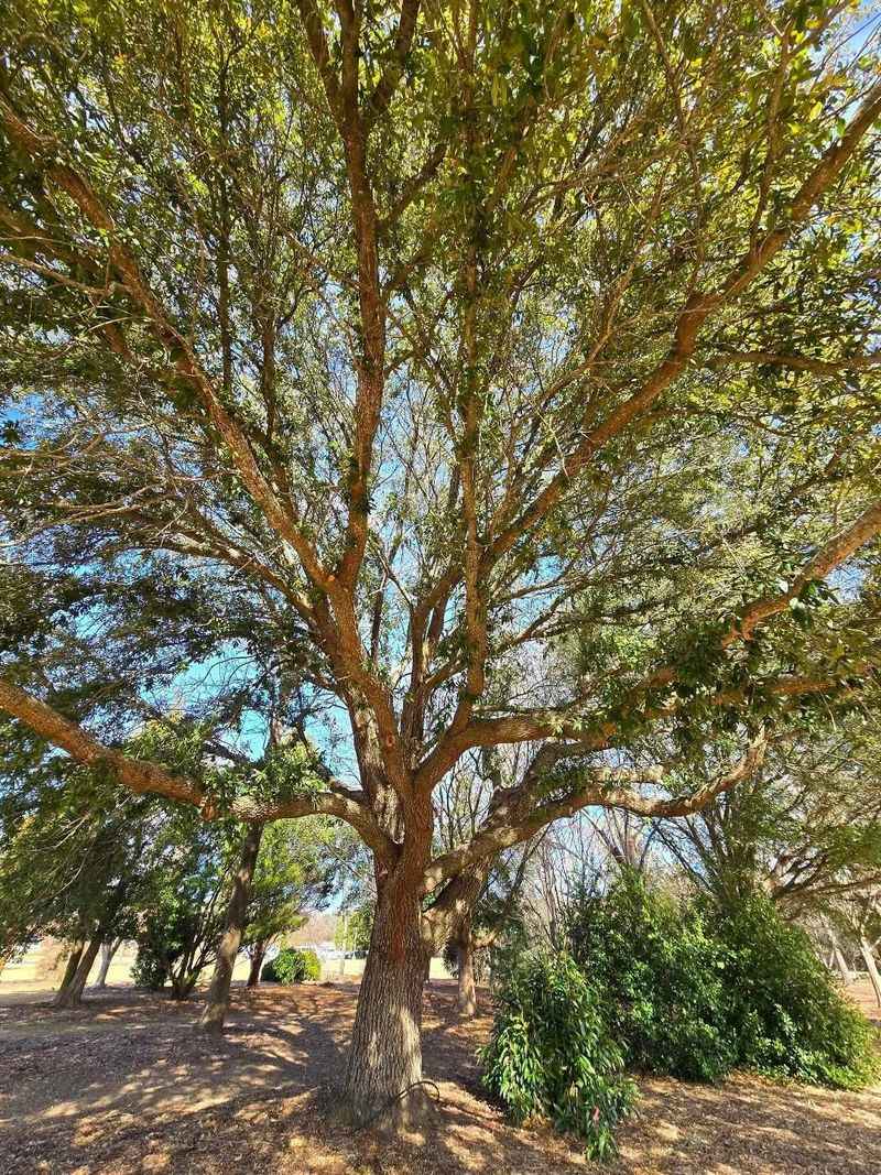 Cooler Weather Slows Water Loss