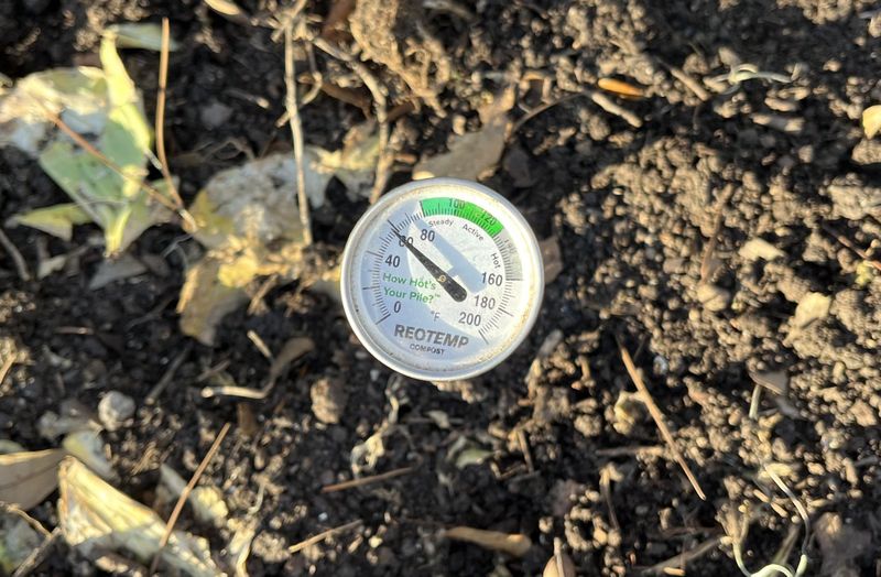Cooling Soil Temperatures Change What Plants Need