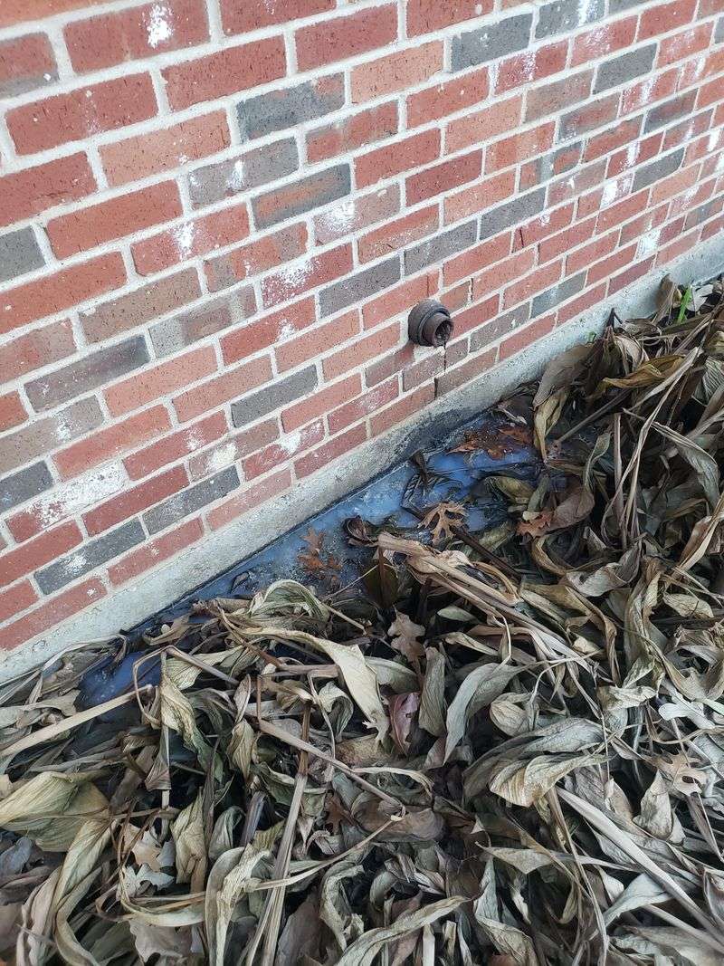 Corners Along The House Tend To Trap The Most Debris