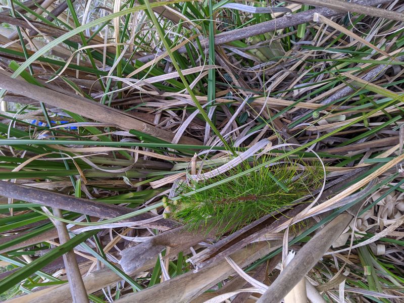 County Crews Are Still Fighting Established Patches