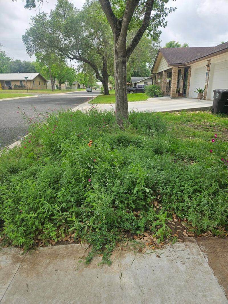 County Rules Can Add Even More Confusion
