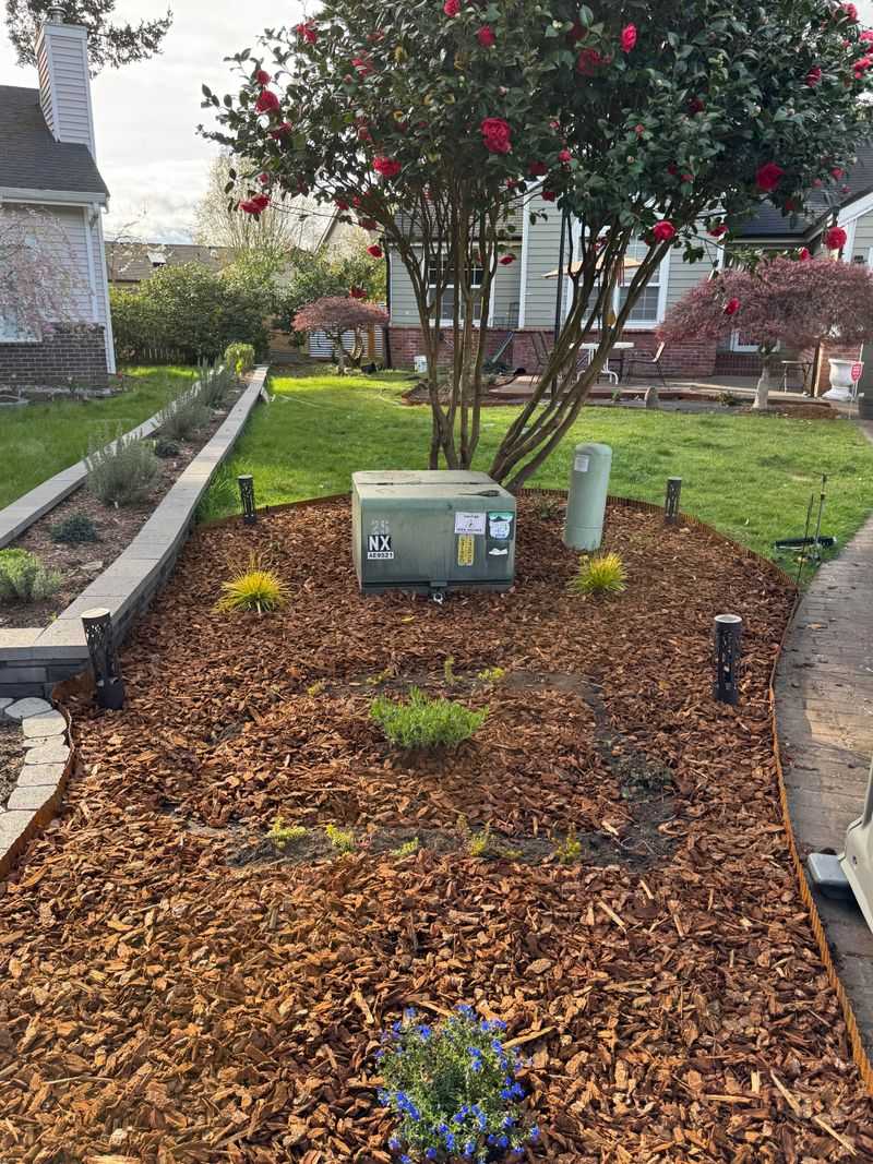 Cover Bare Soil Instead Of Leaving It Empty Cover Bare Soil Instead Of Leaving It Empty