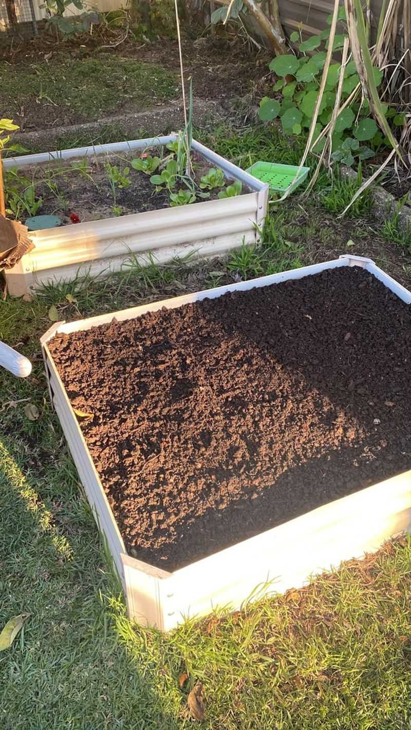 Cover Empty Beds Before Fall Cover Empty Beds Before Fall