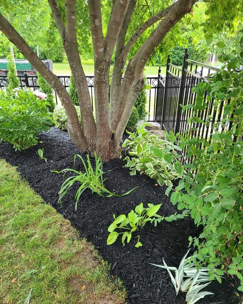 Cover The Soil With Mulch
