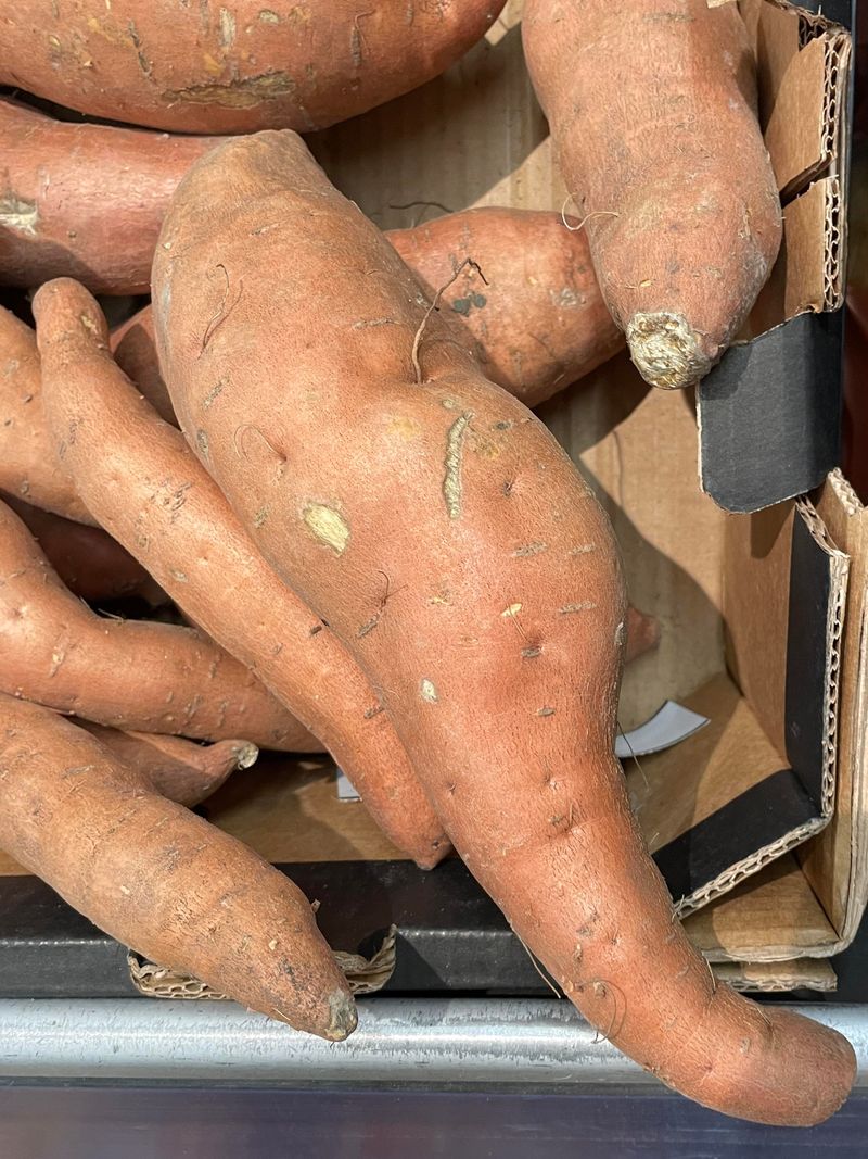 Covington Sweet Potatoes Deliver Rich Flavor And Color Covington Sweet Potatoes Deliver Rich Flavor And Color