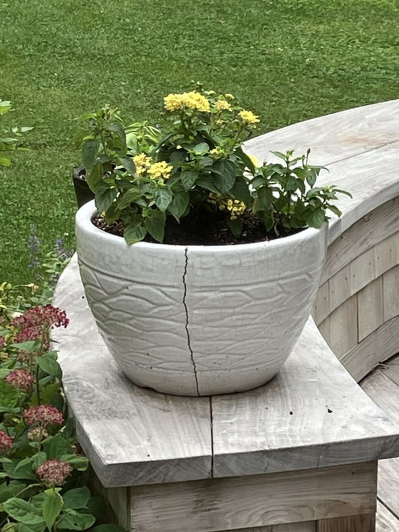Cracked Or Damaged Pots Offering Easy Entry Cracked Or Damaged Pots Offering Easy Entry