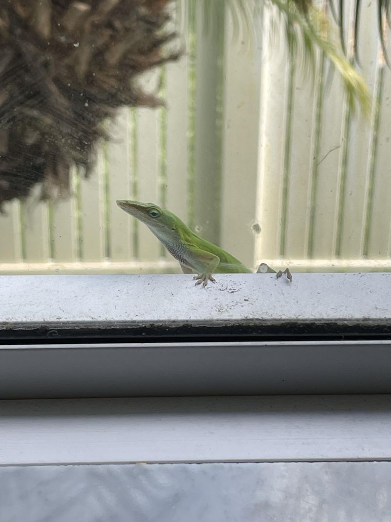 Create A Balanced Florida Habitat Around Your Home