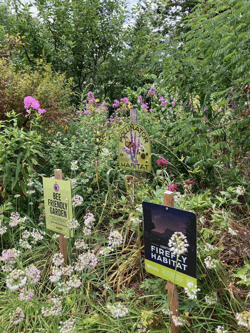 Create A Safe Zone Beneath Trees And Shrubs