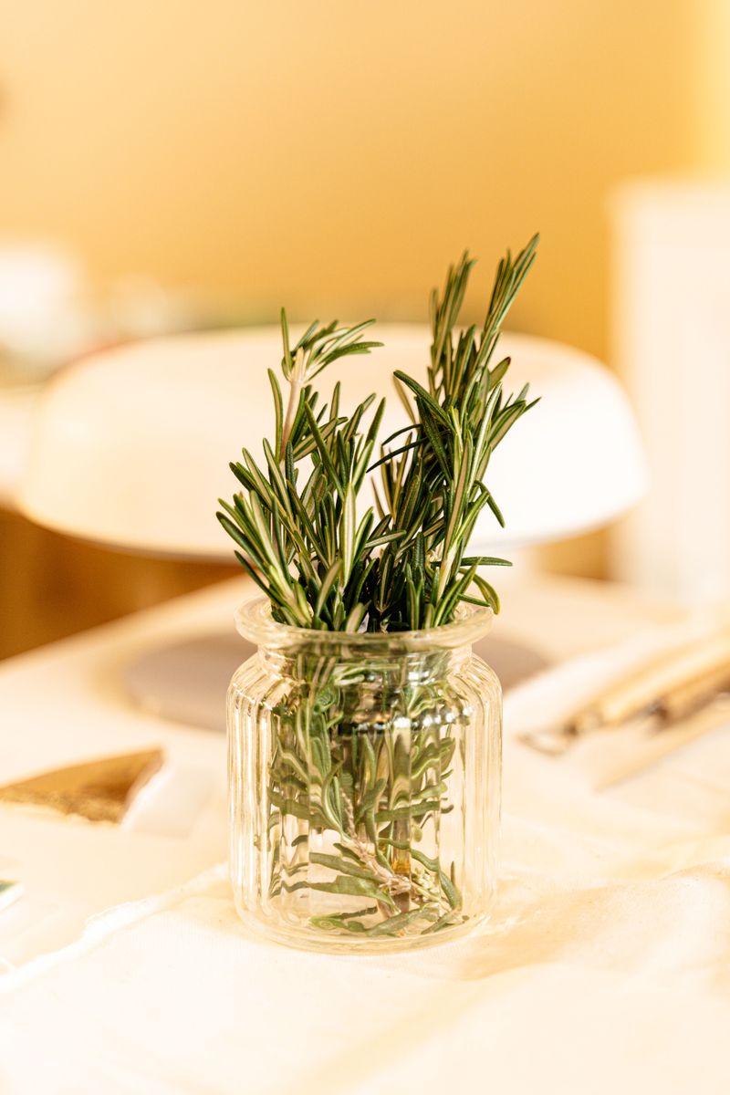 Creative Ways To Use Rosemary As A Design Feature Creative Ways To Use Rosemary As A Design Feature