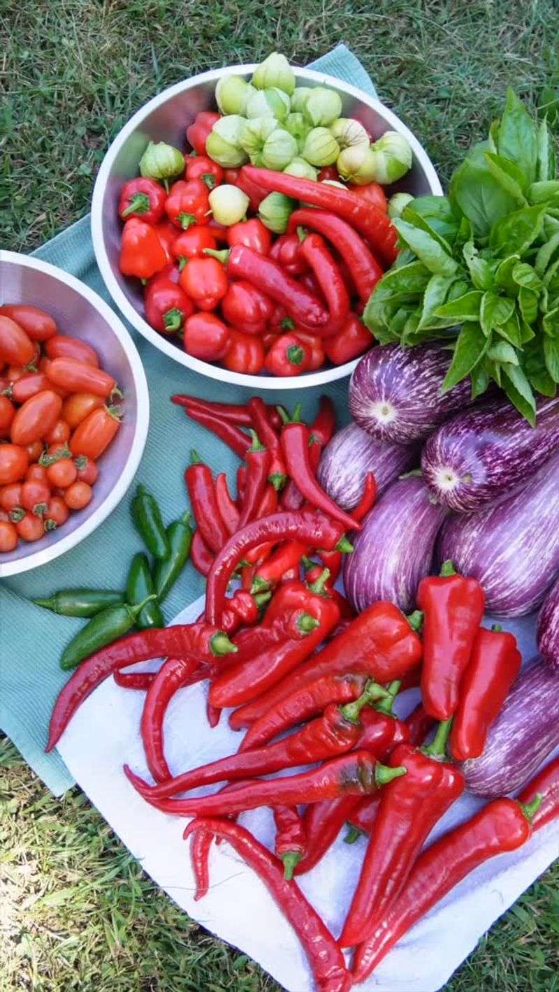 Crops That Respond Best To This Boost Crops That Respond Best To This Boost
