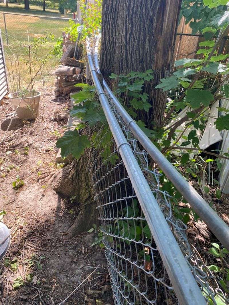 Crossing The Property Line Changes The Story Crossing The Property Line Changes The Story