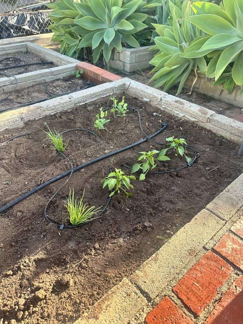 Cut Back Gradually Instead Of Stopping All At Once