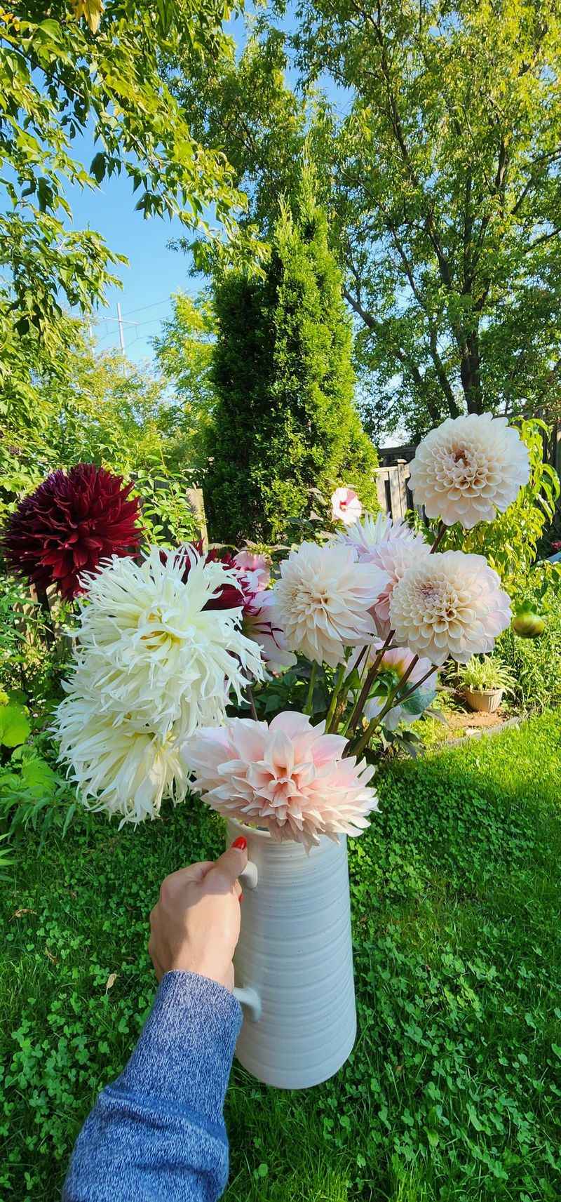 Cut Flowers Often To Encourage More Growth