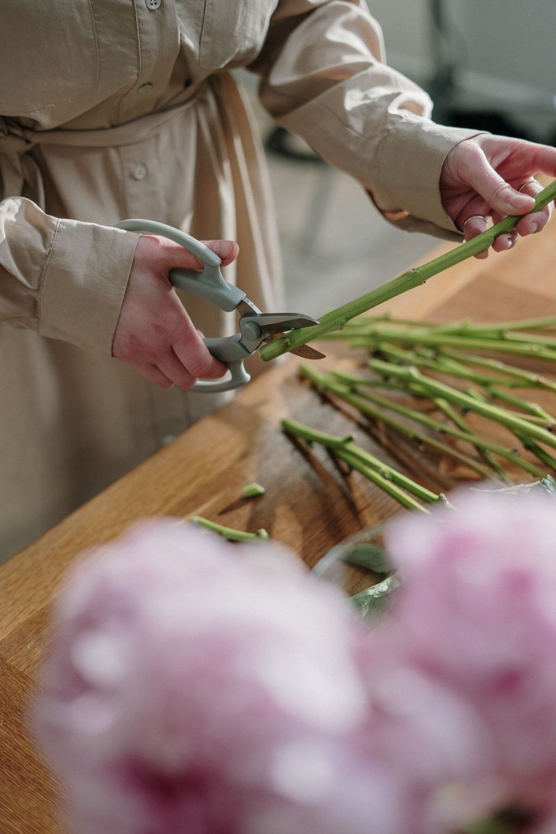 Cut Flowers Often To Encourage Rebloom Cut Flowers Often To Encourage Rebloom