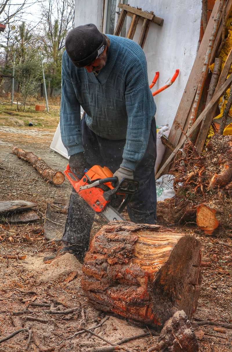 Cut The Stump As Low To The Ground As Possible Cut The Stump As Low To The Ground As Possible