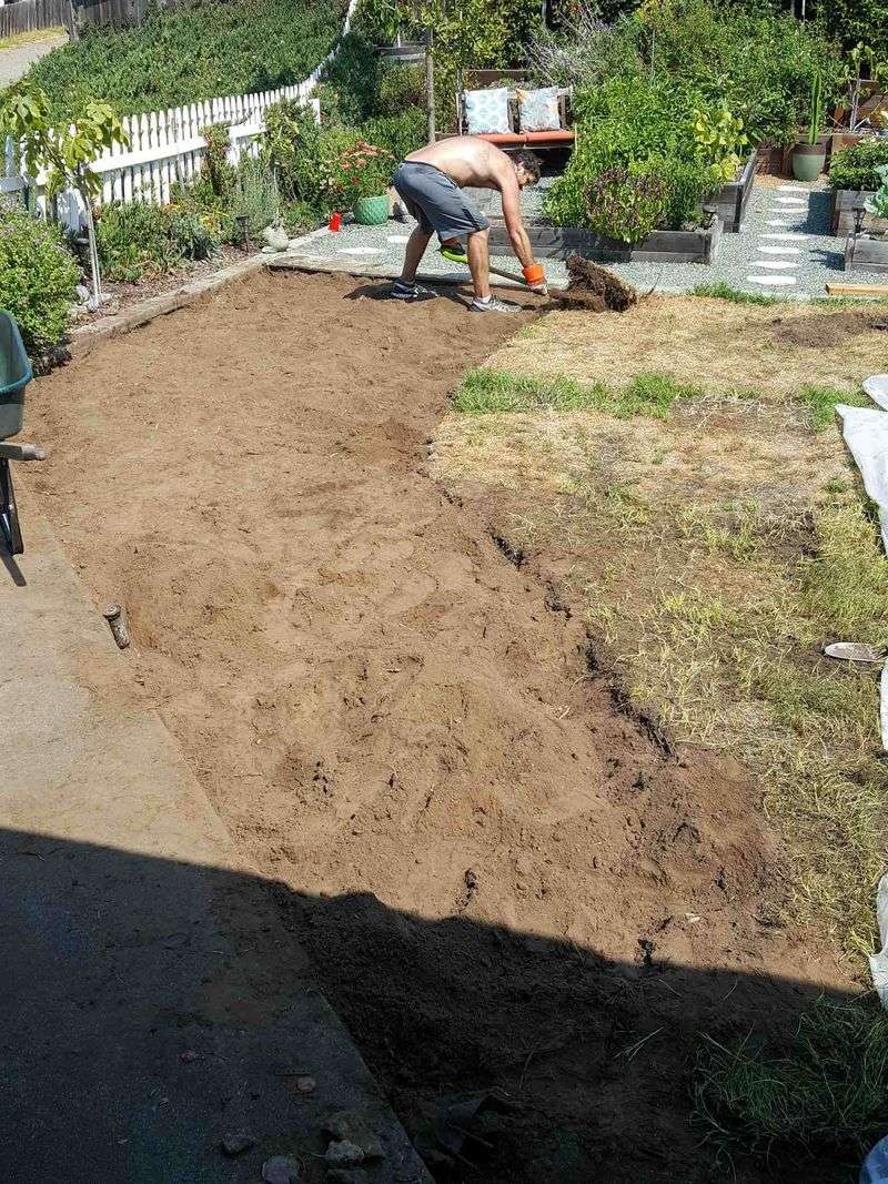 Cutting Back One Strip Of Lawn To Make Room